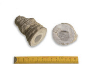 F 00081
<br/>
<br/>
<em></em>